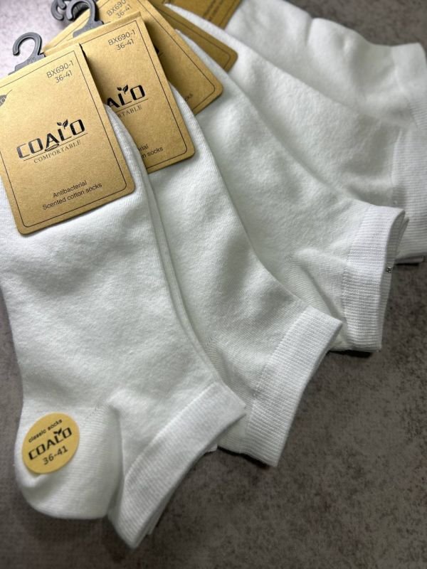 Шкарпетки демісезонні "COALO" |• Базові Білі • Короткі•|Розмір: 36-41